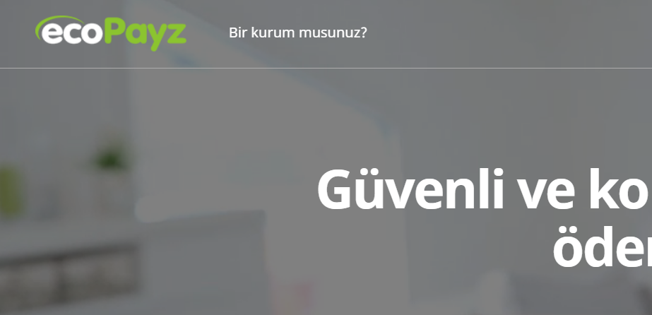 ecopayz